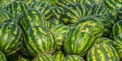 娱乐吃瓜酱30,揭秘娱乐圈那些不为人知的幕后故事