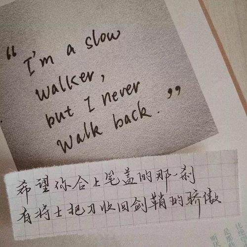 娱乐吃瓜酱励志文案短句,短句汇聚正能量