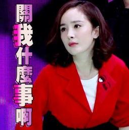 娱乐吃瓜酱梵星,揭秘娱乐圈背后的那些事儿